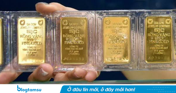Cập nhật giá vàng hôm nay chiều 5/9
