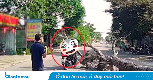 Vụ cưa cây đổ ra đường, đè người đi xe máy tử vong: Gia đình tự ý làm một việc
