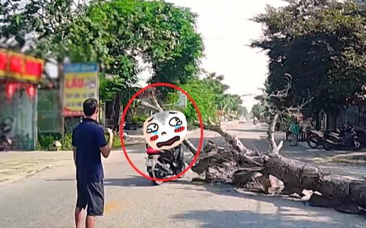 Vụ cưa cây đổ ra đường, đè người đi xe máy tử vong: Gia đình tự ý làm một việc