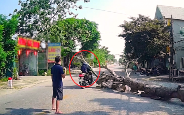Vụ cưa cây đè trúng người đi đường ở Thanh Hóa: Lý do chủ nhà không đến đám tang nạn nhân
