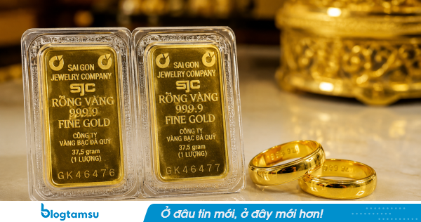 Giá vàng hôm nay 14/9: Tiếp đà lao dốc