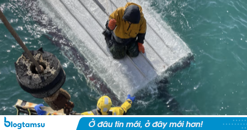Vỡ òa khoảnh khắc giải cứu thanh niên lênh đênh giữa biển nhiều ngày nhờ bám vào chiếc thuyền bị lật