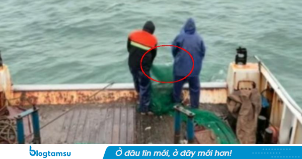 Kỳ tích của mọi kỳ tích: Gia đình đã lo hậu sự, người đàn ông Trung Quốc mất tích trên biển nhiều ngày bất ngờ còn sống