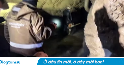 Sập mỏ vàng khiến 60 người không qua khỏi, con số vẫn đang tiếp tục tăng