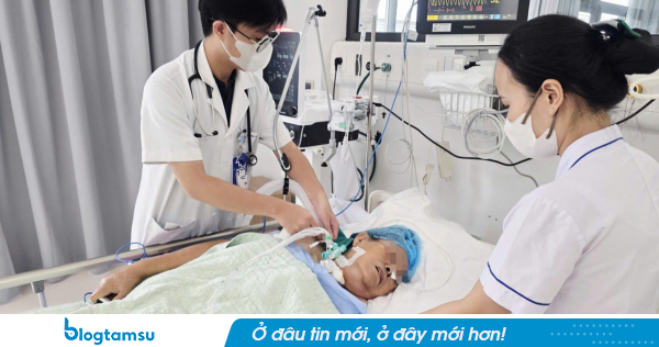 Cảnh báo cực nguy hiểm tới những nhà đang trồng cây hoa giấy