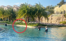 Vụ bé trai người Nhật tử vong tại resort 5 sao: Một người bị khởi tố