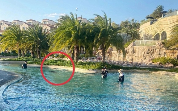 Vụ bé trai người Nhật tử vong tại resort 5 sao: Một người bị khởi tố