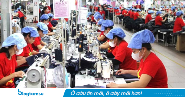 Phạt đến 30 triệu đối với tất cả người lao động có hành vi sau