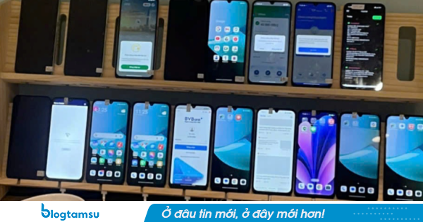 Công an Hải Phòng thông tin thêm về đường dây rửa tiền, tổ chức đánh bạc xuyên quốc gia