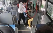 Tiếp viên xe buýt bị đình chỉ vì xô đẩy hành khách