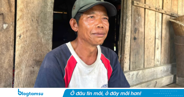 Khẩn trương xác minh vụ không biết chữ nhưng ‘đứng đơn’ xin 60 ha đất trồng rừng