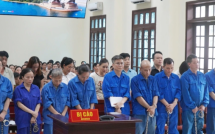 Cựu tổng giám đốc Đồ hộp Hạ Long nhận 19 năm tù trong vụ mua 197 tấn thịt lợn bệnh