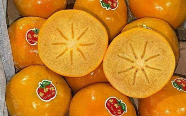 Hồng giòn socola Trung Quốc giá 