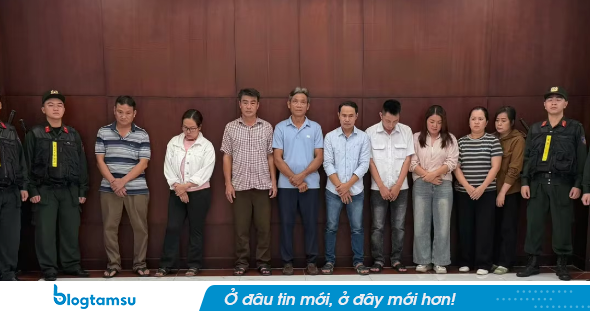 Khởi tố 9 bị can trong đường dây đưa 10.000 tấn heo sử dụng chất cấm ra thị trường