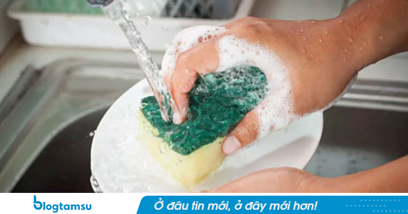 Tất cả các gia đình đang dùng miếng bọt biển rửa bát xin chú ý!