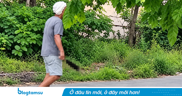 Ba mẹ con cô giáo bị chém, bé gái 6 tuổi tử vong