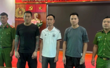Làm phim bạo lực giang hồ, 