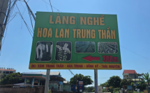 Lan đột biến từng giao dịch 1 tỷ đồng/cm nay chỉ mang treo bờ rào
