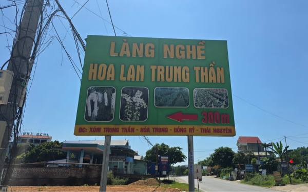 Lan đột biến từng giao dịch 1 tỷ đồng/cm nay chỉ mang treo bờ rào