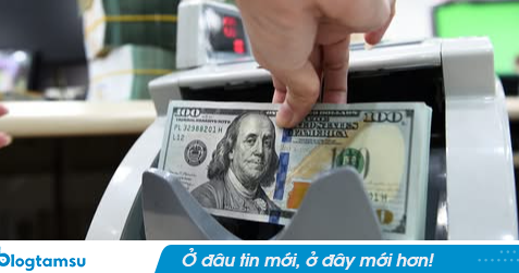 Hai nhân viên ngân hàng tiếp tay 'trùm' người Trung Quốc chuyển lậu 40 triệu USD