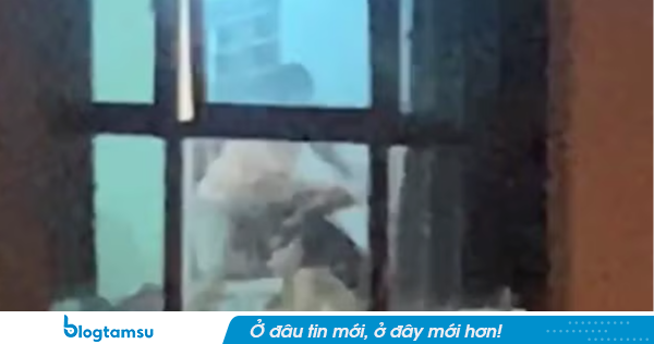 Xác minh vụ bé gái bị mẹ kế bạo hành ở Phú Thọ