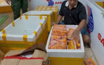Phát hiện đường dây nhập lậu trứng gà non núp bóng cư dân biên giới