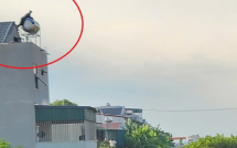 Cảnh sát vây bắt hai người cầm kiếm cố thủ trên mái nhà